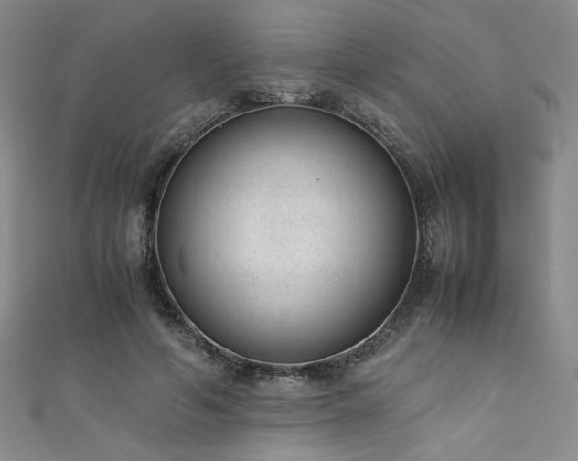 X0000111880594200907231537