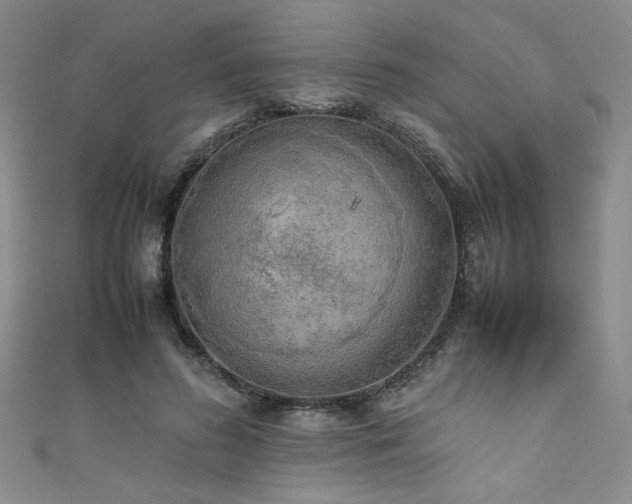 X0000111880596200907231537