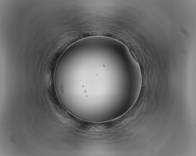 X0000111880599200907231536