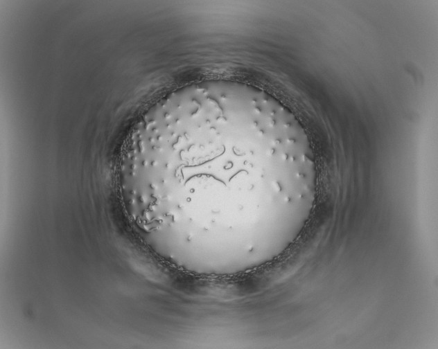 X0000111880601200907231536
