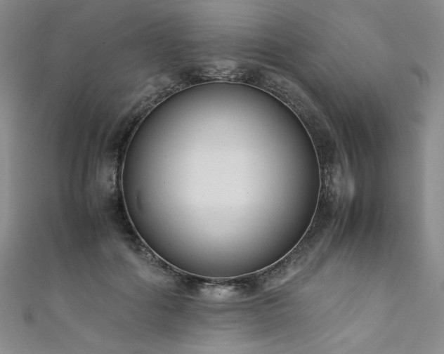 X0000111880602200907231536