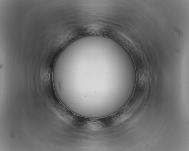 X0000111880603200907231536