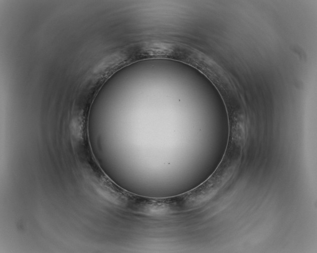 X0000111880604200907231536
