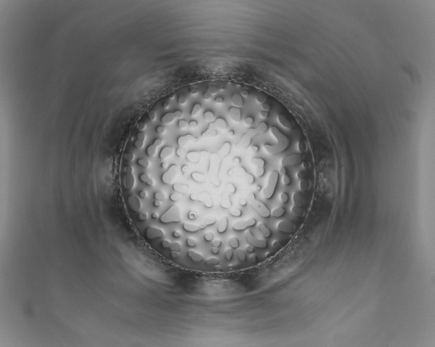 X0000111880605200907231536