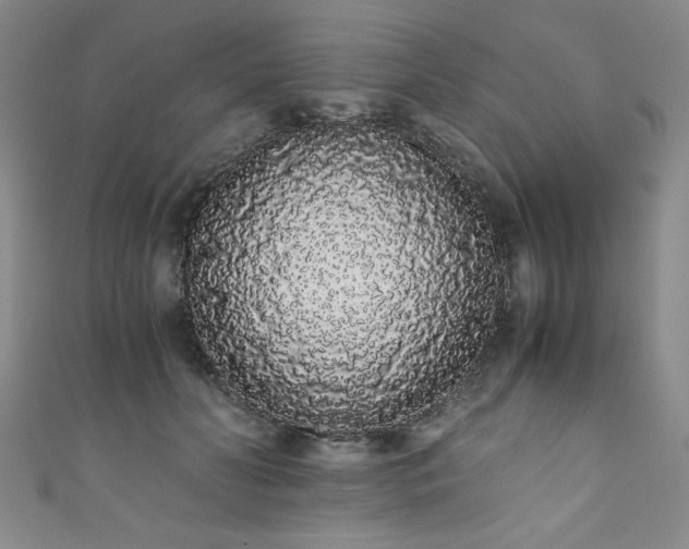 X0000111880606200907231536