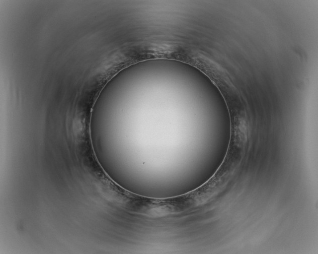 X0000111880608200907231536