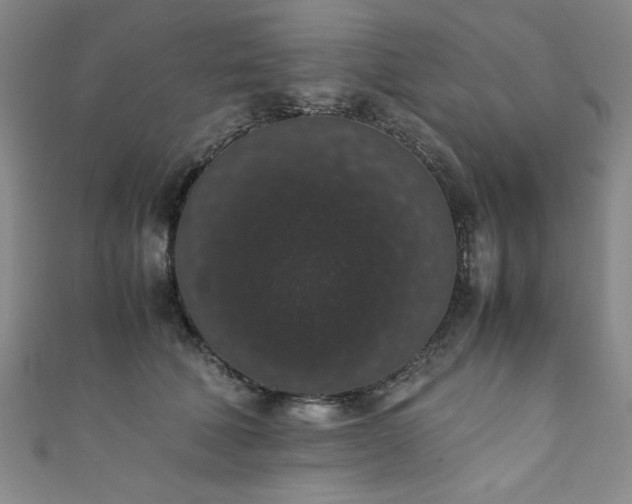 X0000111880610200907231536