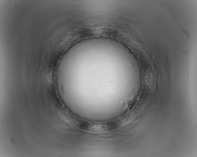 X0000111880611200907231536