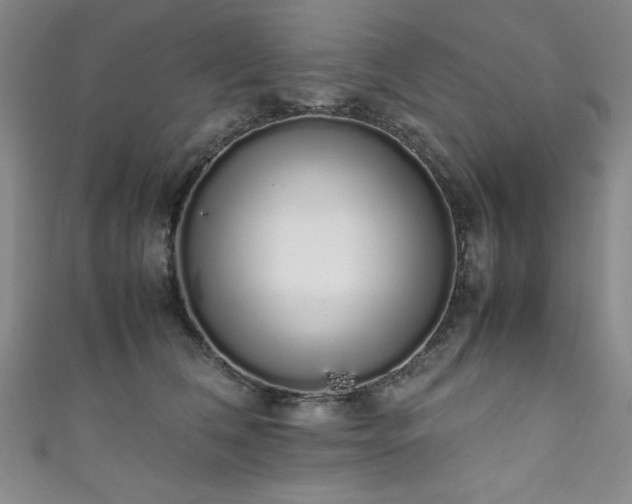 X0000111880612200907231536