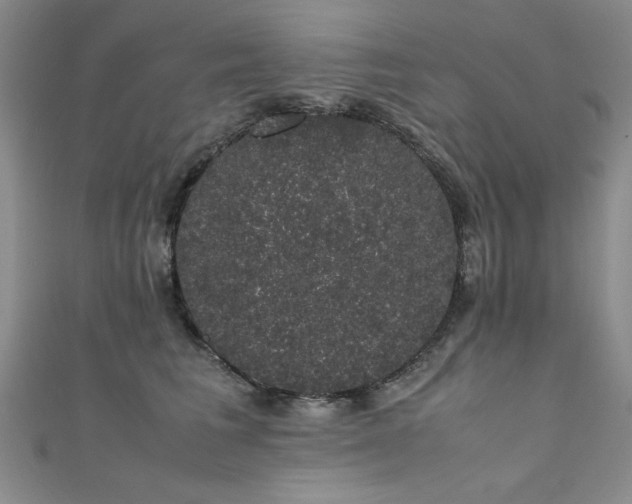 X0000111880613200907231536
