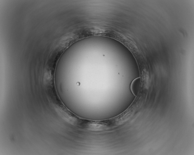 X0000111880614200907231536