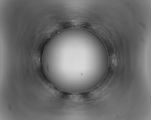X0000111880615200907231536