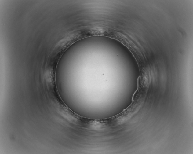 X0000111880616200907231536