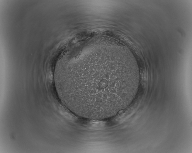 X0000111880617200907231536