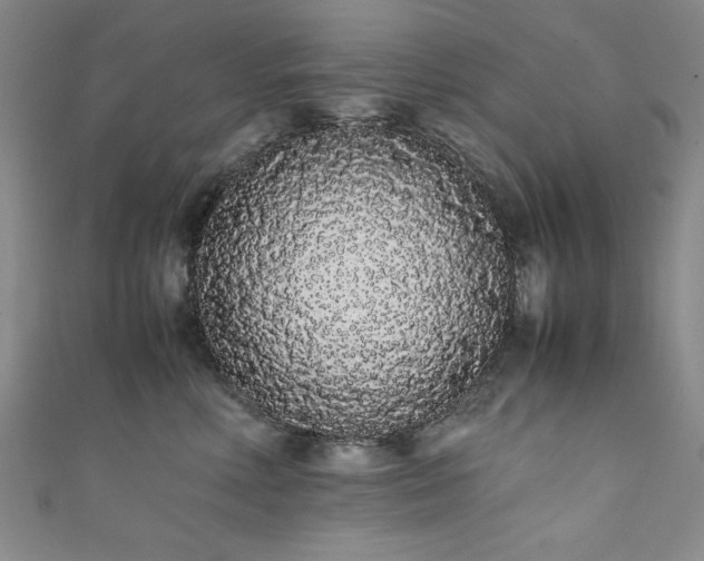 X0000111880618200907231536