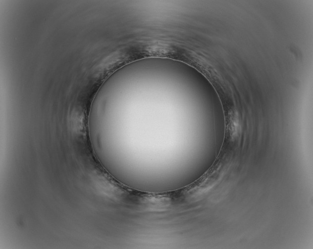 X0000111880619200907231536