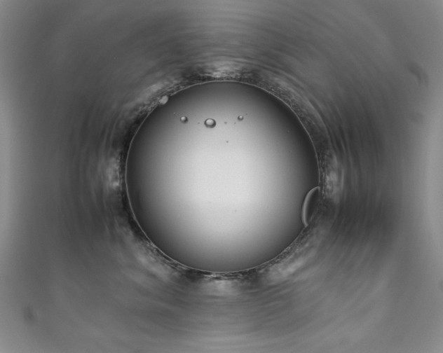 X0000111880620200907231536