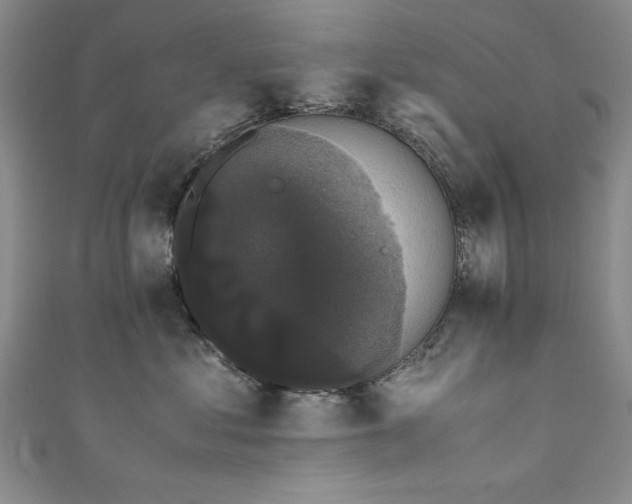 X0000111880621200907231536