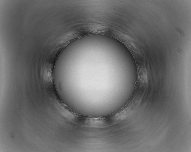 X0000111880622200907231536