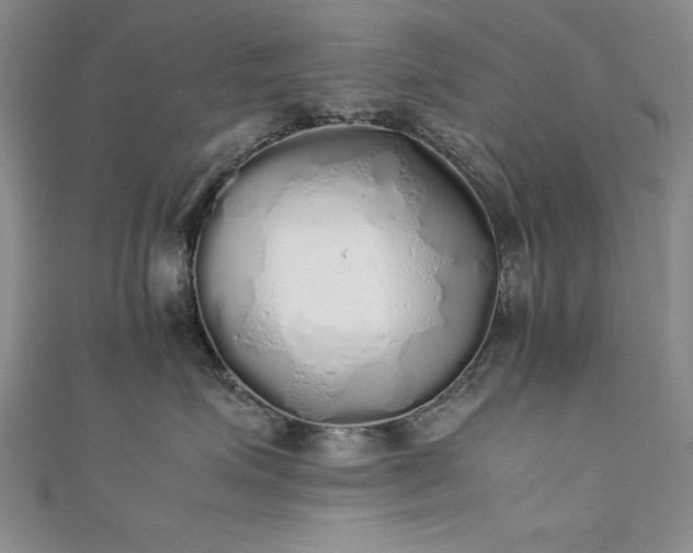 X0000111880623200907231536
