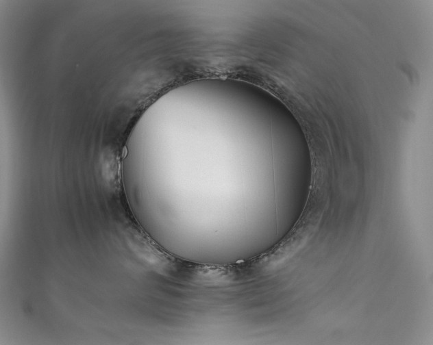 X0000111880624200907231536