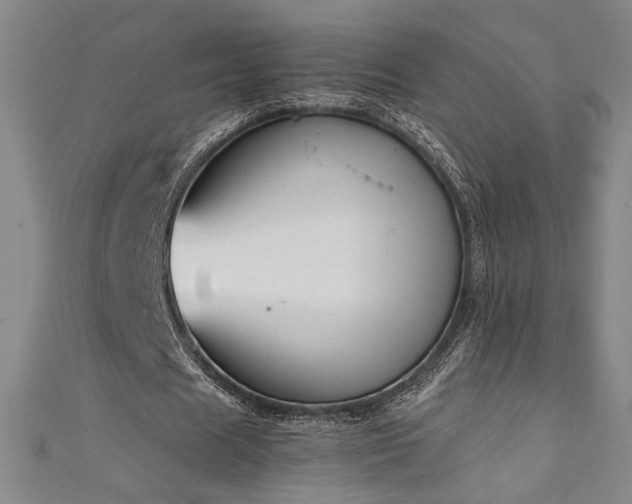 X0000111880625200907231536