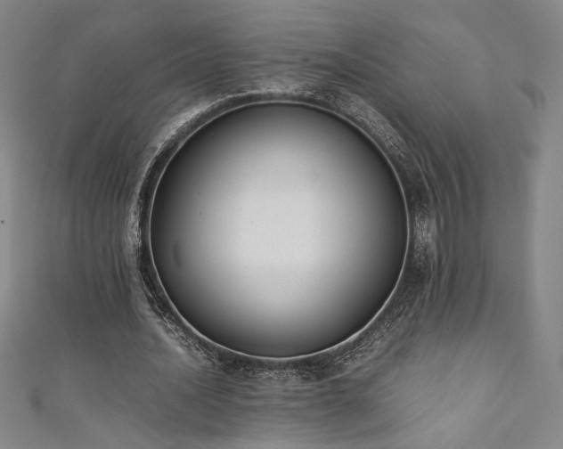 X0000111880628200907231536