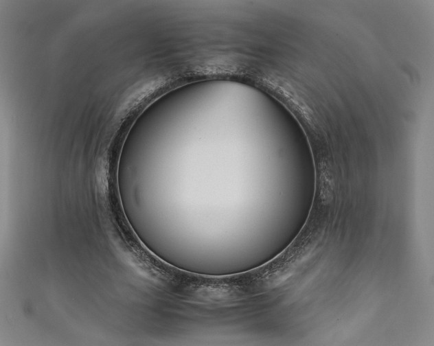 X0000111880631200907231536