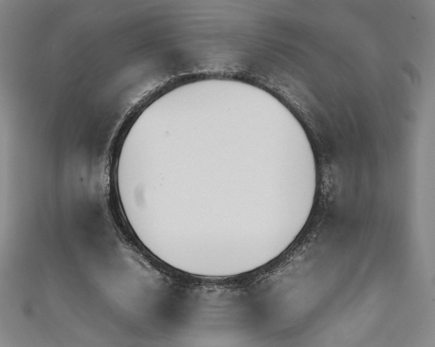 X0000111880632200907231536