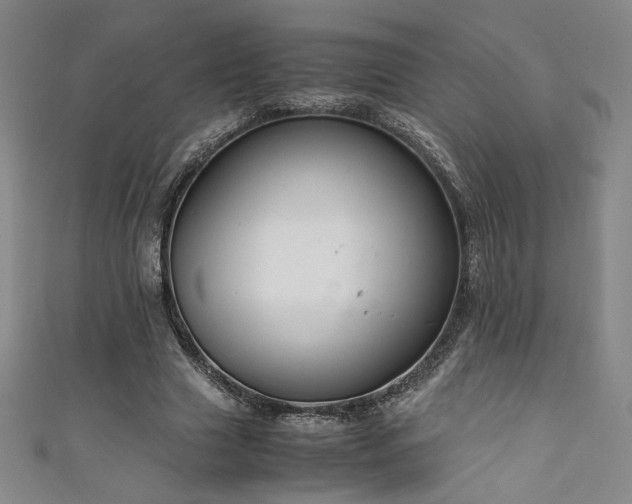X0000111880633200907231536