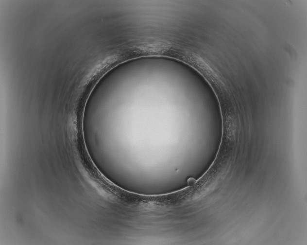 X0000111880634200907231536