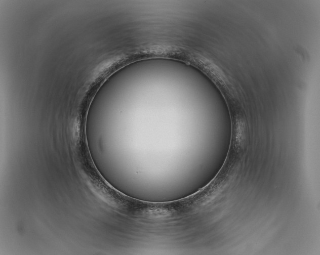 X0000111880636200907231536