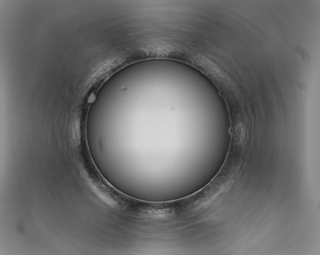 X0000111880638200907231536