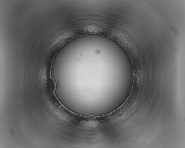 X0000111880639200907231536