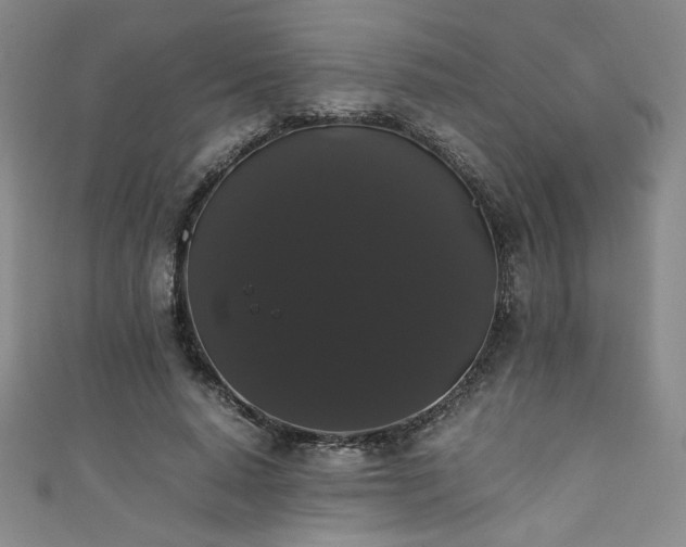 X0000111880640200907231536