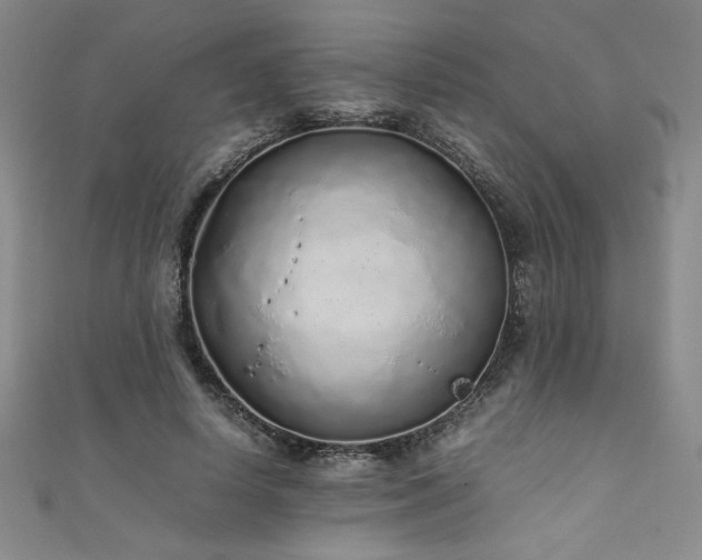 X0000111880642200907231536