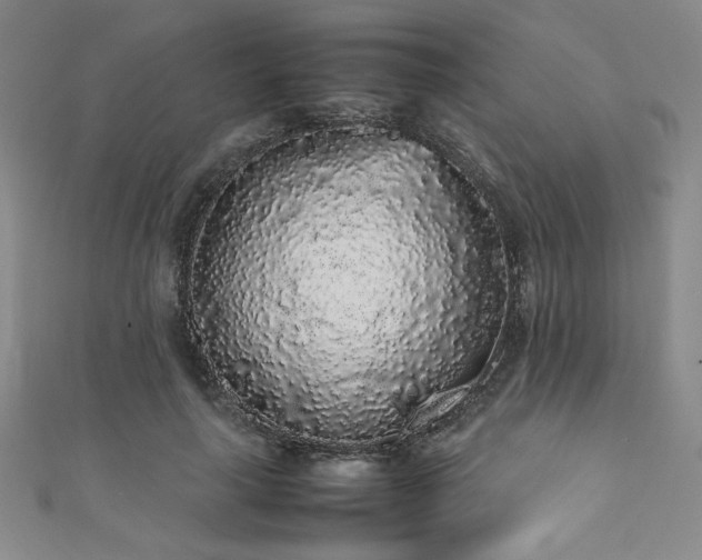 X0000111880643200907231536