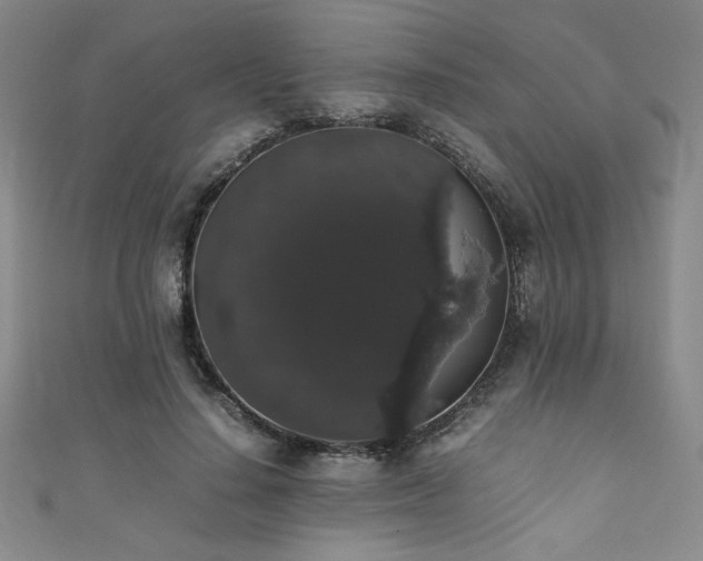 X0000111880644200907231536