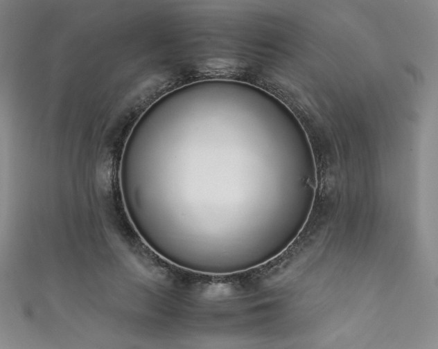 X0000111880647200907231536