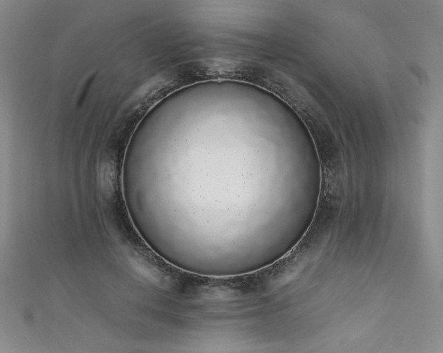 X0000111880648200907231536