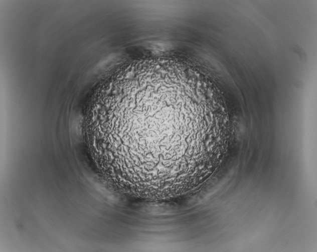 X0000111880650200907231536