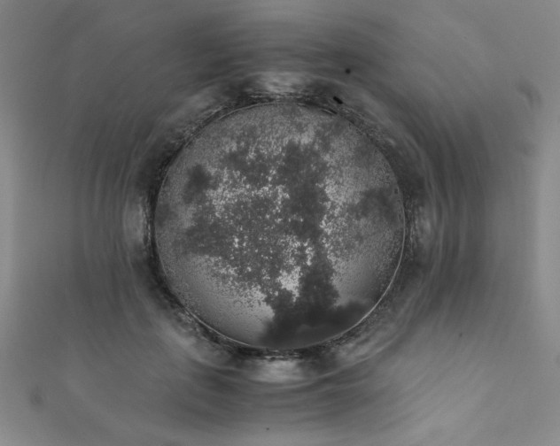X0000111880651200907231536