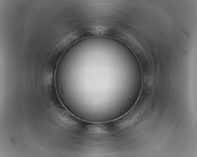 X0000111880652200907231536