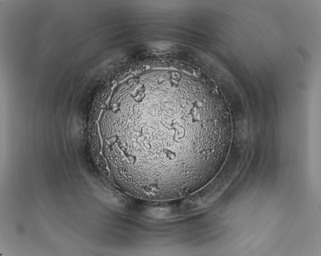 X0000111880653200907231536