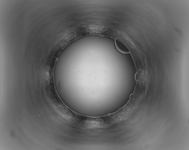 X0000111880655200907231536