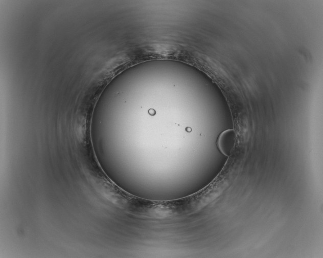 X0000111880656200907231536