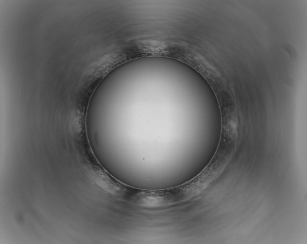 X0000111880658200907231536