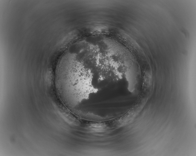 X0000111880659200907231536
