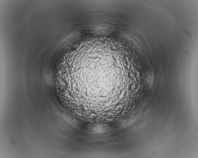 X0000111880663200907231536