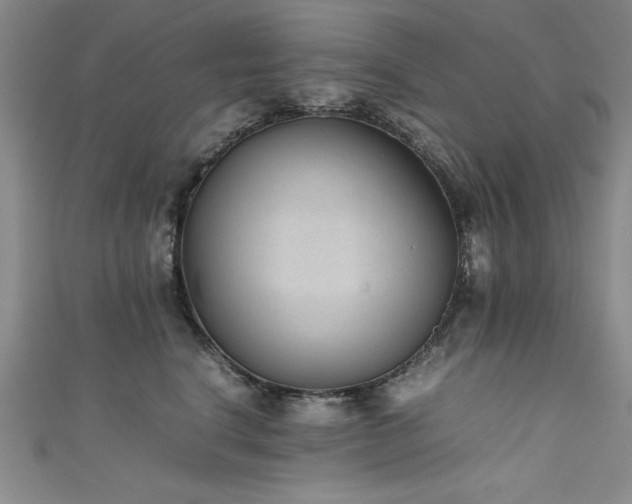 X0000111880664200907231536